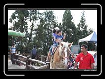 IMG_5432 * 900 x 644 * (288KB)