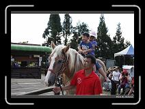 IMG_5434 * 900 x 644 * (275KB)