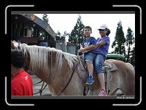 IMG_5436 * 900 x 644 * (286KB)