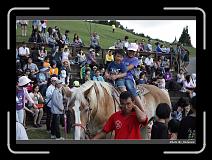 IMG_5441 * 900 x 644 * (285KB)