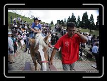 IMG_5442 * 900 x 644 * (298KB)