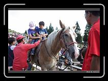 IMG_5445 * 900 x 644 * (294KB)
