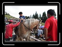 IMG_5446 * 900 x 644 * (277KB)