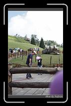 IMG_5465 * 600 x 966 * (294KB)