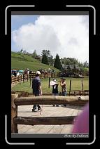 IMG_5468 * 600 x 966 * (270KB)