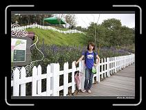 IMG_5502 * 900 x 644 * (290KB)