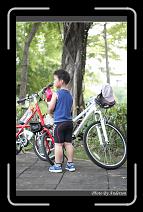 IMG_5299 * 600 x 966 * (299KB)