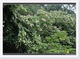 IMG_5780 * 900 x 644 * (299KB)