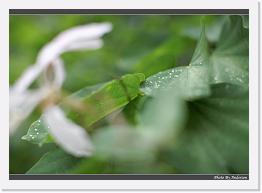 IMG_5799 * 900 x 644 * (291KB)
