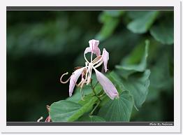 IMG_5800 * 900 x 644 * (222KB)