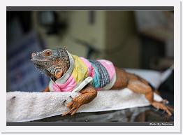 IMG_5813 * 900 x 644 * (269KB)