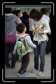 IMG_5902 * 600 x 966 * (287KB)