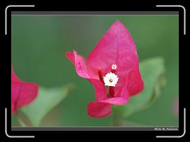 IMG_5928 * 900 x 644 * (231KB)