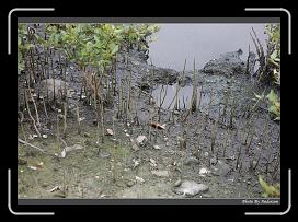 IMG_5930 * 900 x 644 * (298KB)