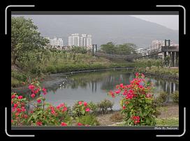 IMG_5953 * 900 x 644 * (282KB)