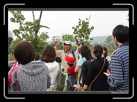 IMG_5961 * 900 x 644 * (299KB)