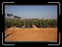 IMG_6519 * 900 x 644 * (284KB)
