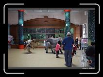 IMG_6524 * 900 x 644 * (273KB)