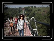 IMG_6546 * 900 x 644 * (278KB)