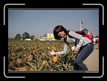 IMG_6549 * 900 x 644 * (276KB)