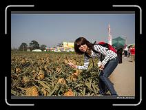 IMG_6550 * 900 x 644 * (287KB)