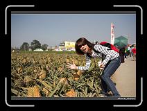 IMG_6551 * 900 x 644 * (300KB)