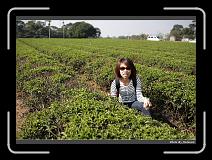 IMG_6553 * 900 x 644 * (293KB)