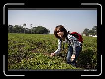 IMG_6555 * 900 x 644 * (291KB)