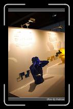 IMG_6859 * 600 x 966 * (251KB)