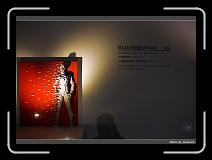 IMG_6878 * 900 x 644 * (242KB)