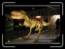 IMG_6892 * 900 x 644 * (273KB)