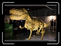 IMG_6893 * 900 x 644 * (264KB)
