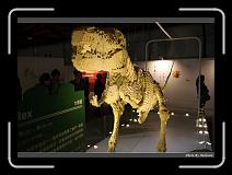 IMG_6894 * 900 x 644 * (287KB)