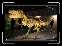 IMG_6895 * 900 x 644 * (282KB)
