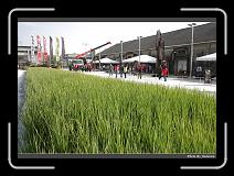 IMG_6906 * 900 x 644 * (298KB)