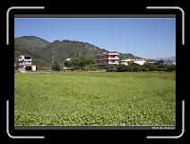 IMG_7100 * 900 x 644 * (300KB)
