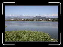 IMG_7113 * 900 x 644 * (295KB)