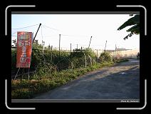 IMG_7271 * 900 x 644 * (282KB)
