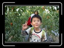 IMG_7278 * 900 x 644 * (281KB)