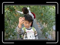 IMG_7280 * 900 x 644 * (281KB)
