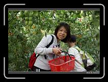 IMG_7282 * 900 x 644 * (286KB)