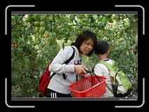 IMG_7283 * 900 x 644 * (292KB)