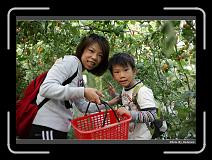 IMG_7284 * 900 x 644 * (290KB)