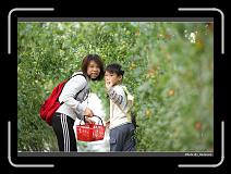 IMG_7289 * 900 x 644 * (294KB)