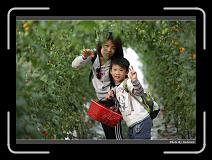 IMG_7290 * 900 x 644 * (299KB)