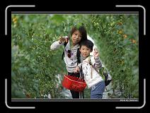IMG_7291 * 900 x 644 * (281KB)