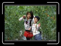 IMG_7292 * 900 x 644 * (291KB)