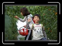 IMG_7293 * 900 x 644 * (267KB)