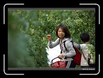 IMG_7296 * 900 x 644 * (269KB)