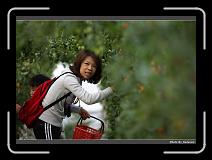 IMG_7298 * 900 x 644 * (272KB)